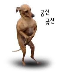 참 이미지
