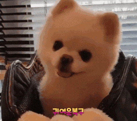1619890192870.gif