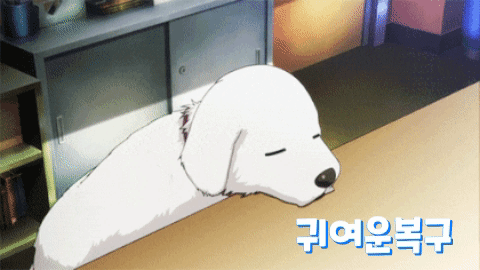 1616001454472.gif