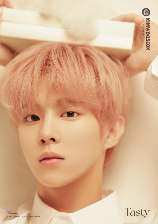 우석복사 이미지