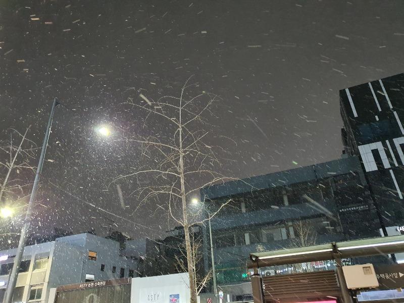눈 선물 | 보배드림 자유게시판
