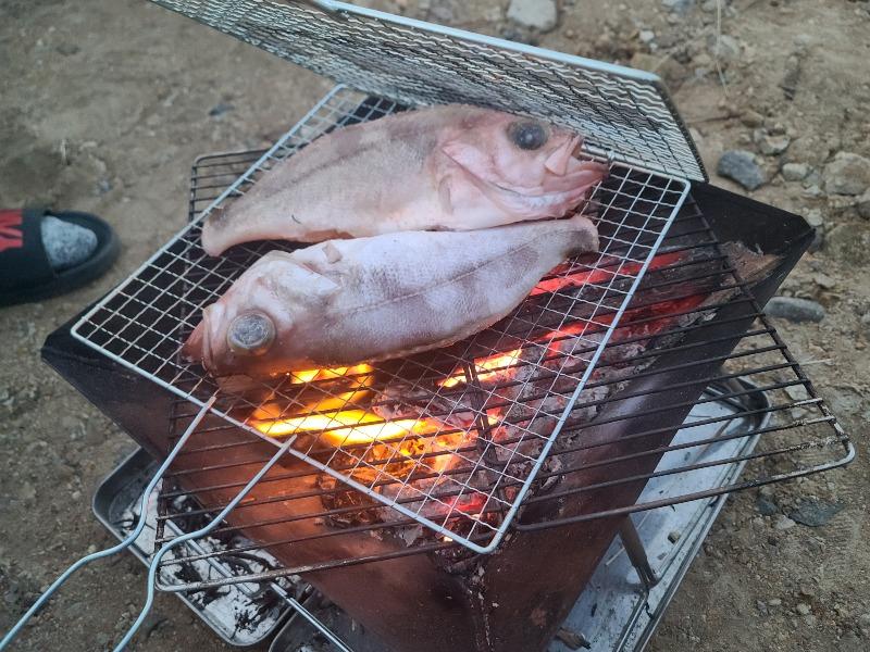 생선구이 | 보배드림 자유게시판