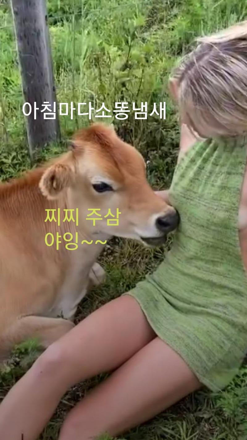 이뿐소쨩 | 보배드림 자유게시판