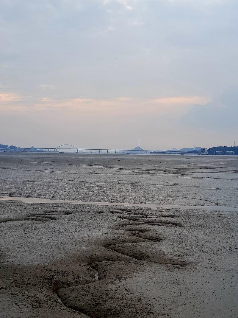 뻘... | 보배드림 자유게시판