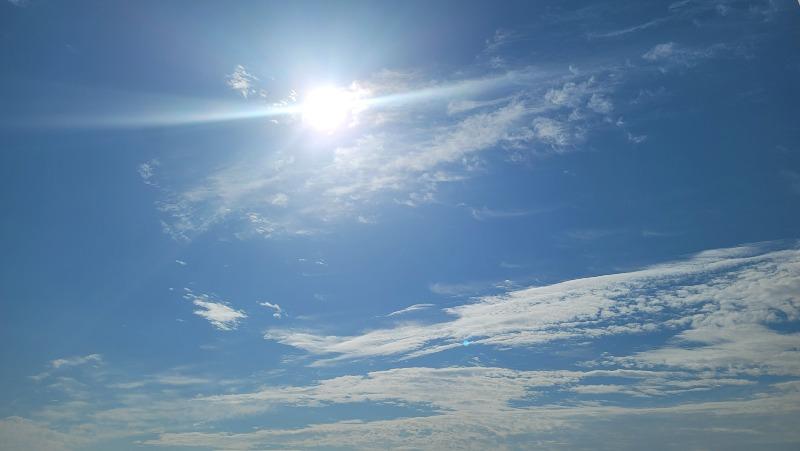 오늘도 맑음^^ | 보배드림 자유게시판