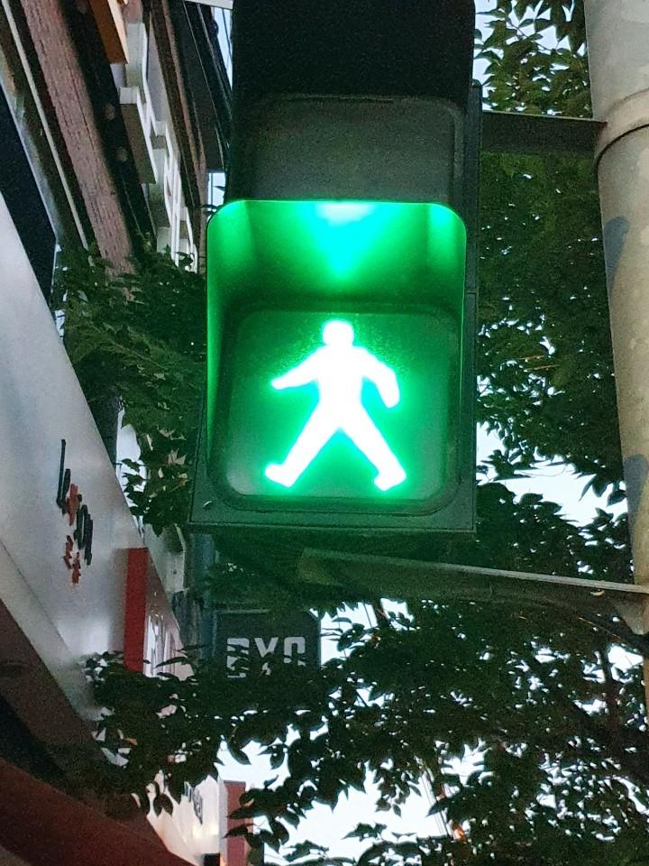 파란불 | 보배드림 자유게시판