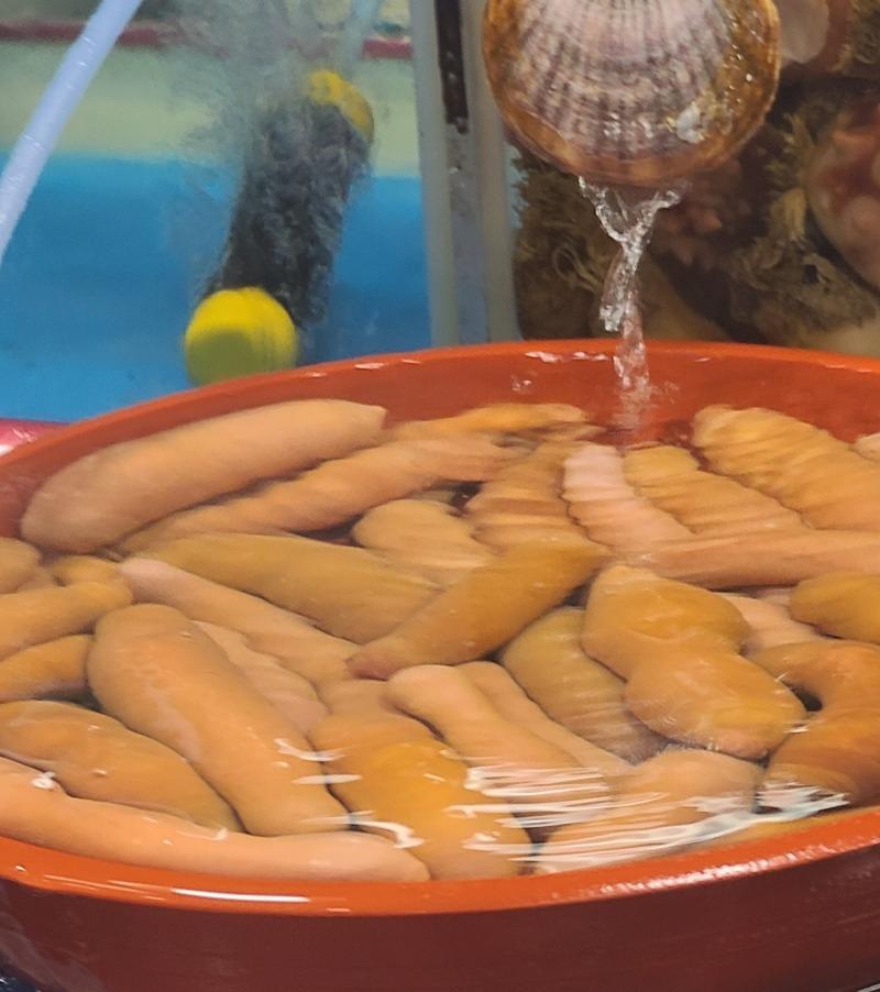 회떠드림 이미지