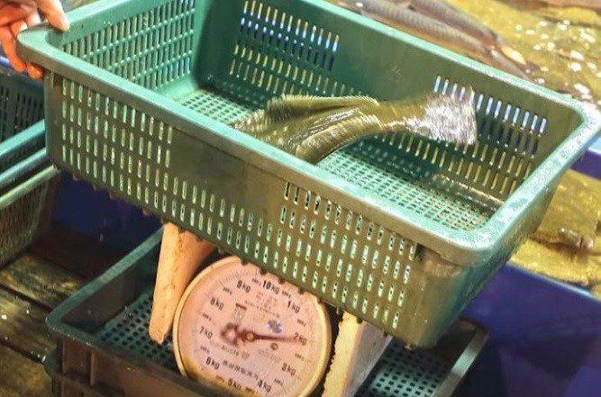 보배수산 이미지