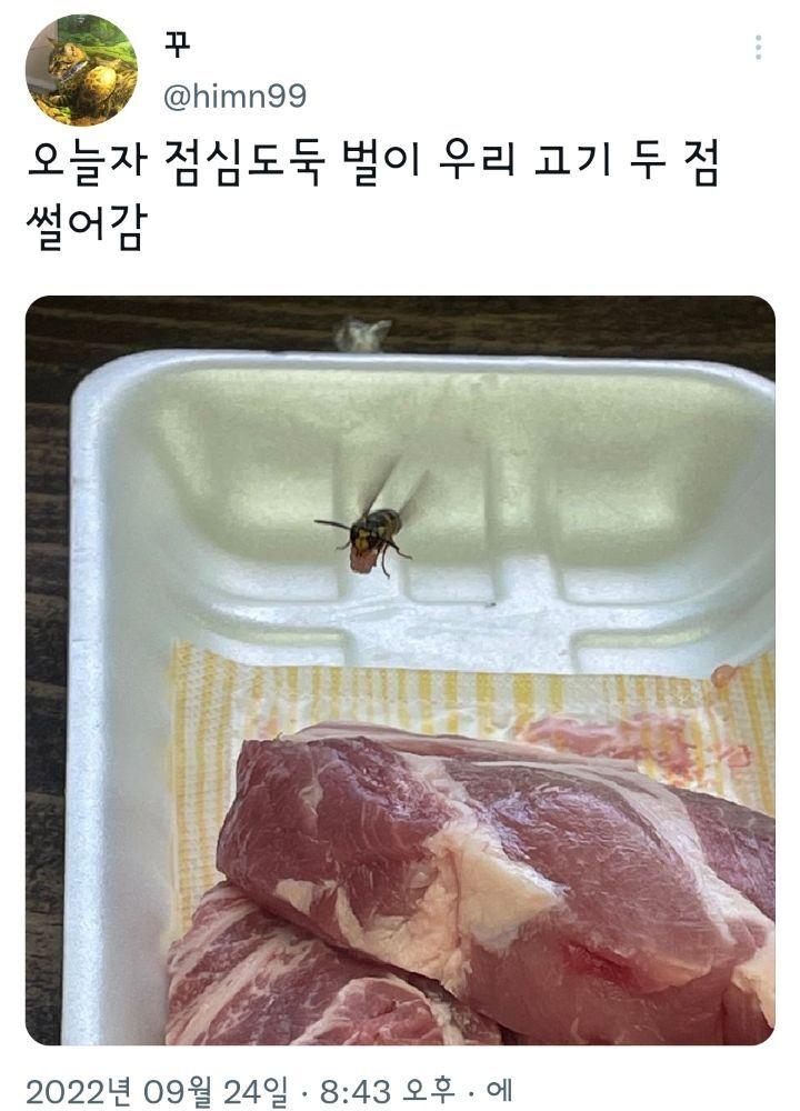 점심도둑 벌이 우리 고기 2점 썰어감 | 보배드림 자유게시판