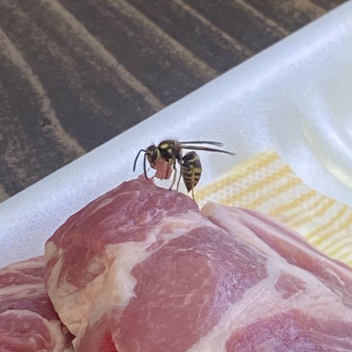 우리고기 이미지
