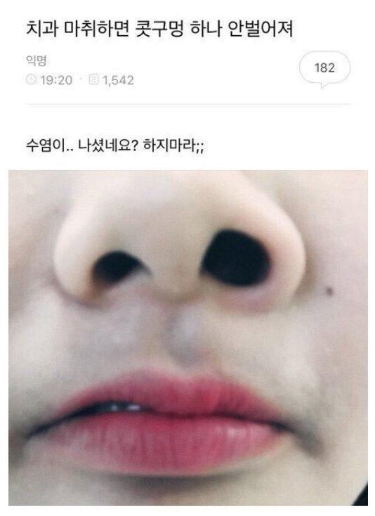 보배치과 이미지