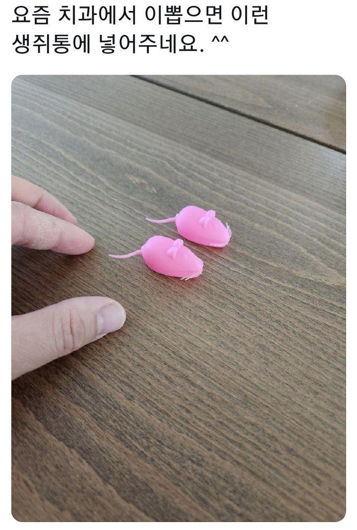 보배치과 이미지