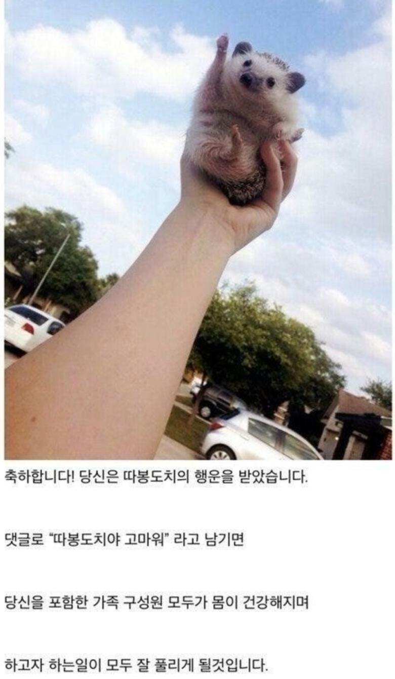 따봉 이미지