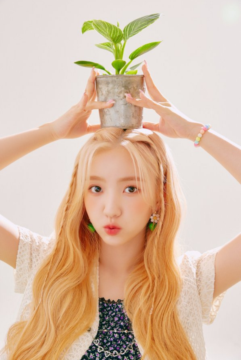 예서드림 이미지