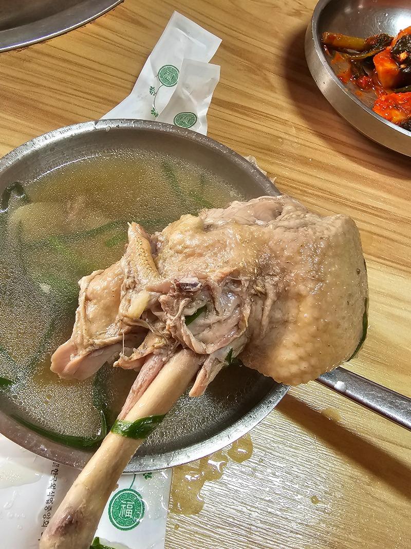 능이 오리백숙!!! 3명이서!! | 보배드림 자유게시판 능이 오리백숙!!!  3명이서!! | 보배드림 자유게시판