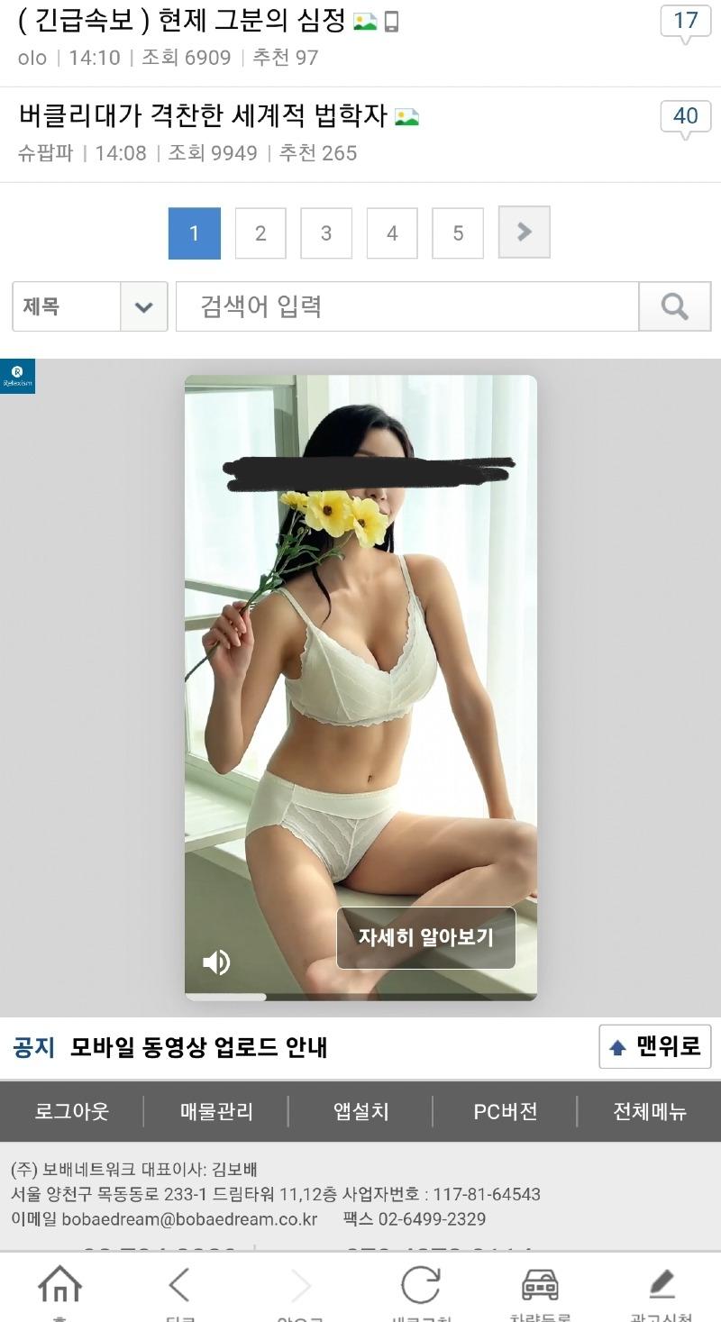보배야...내가 언제까지 브라팬티 광고를 봐야하냐 | 보배드림 자유게시판