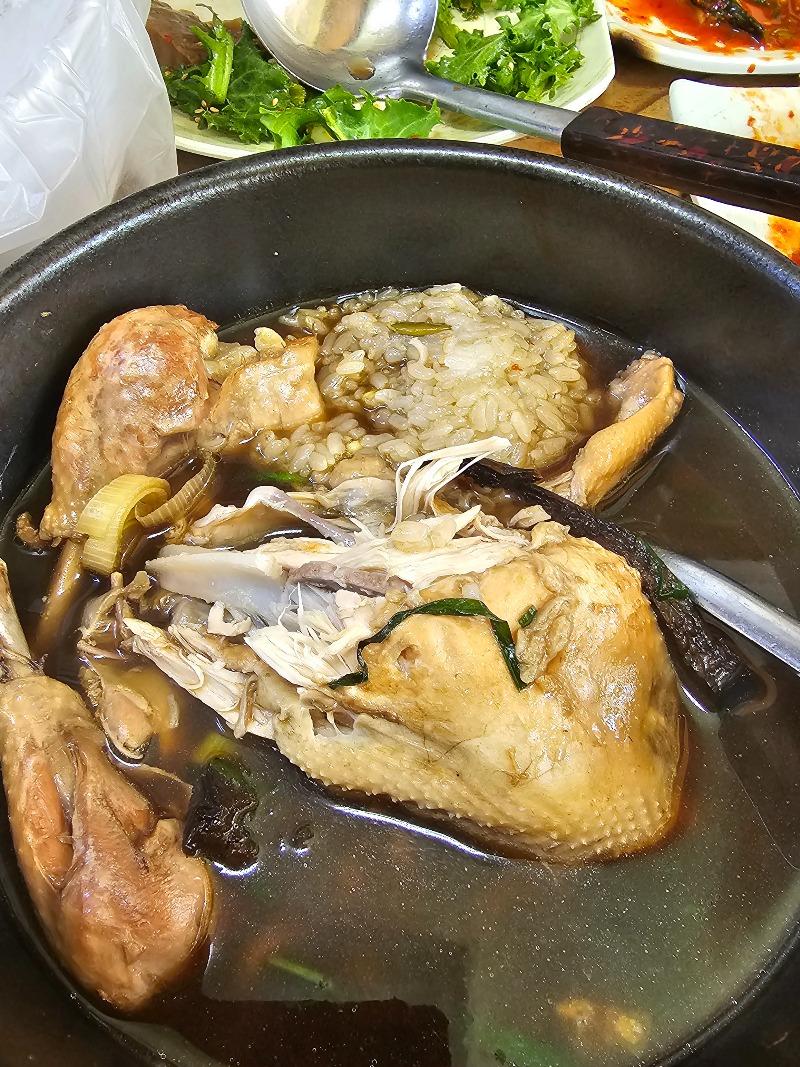 점심~~~능이백슉? 삼계탕? | 보배드림 자유게시판