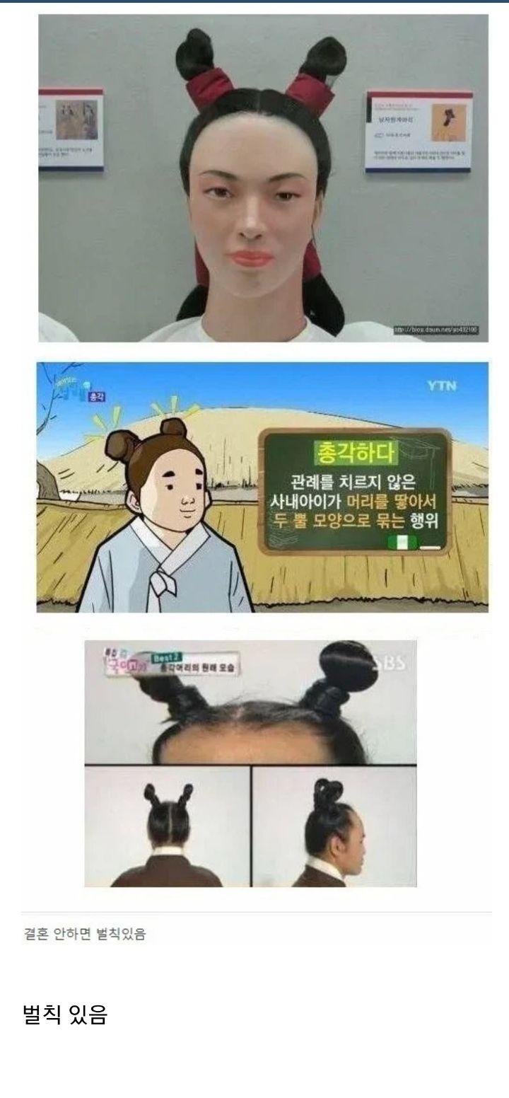 총각김치가 여기서 유래됐나?? | 보배드림 자유게시판