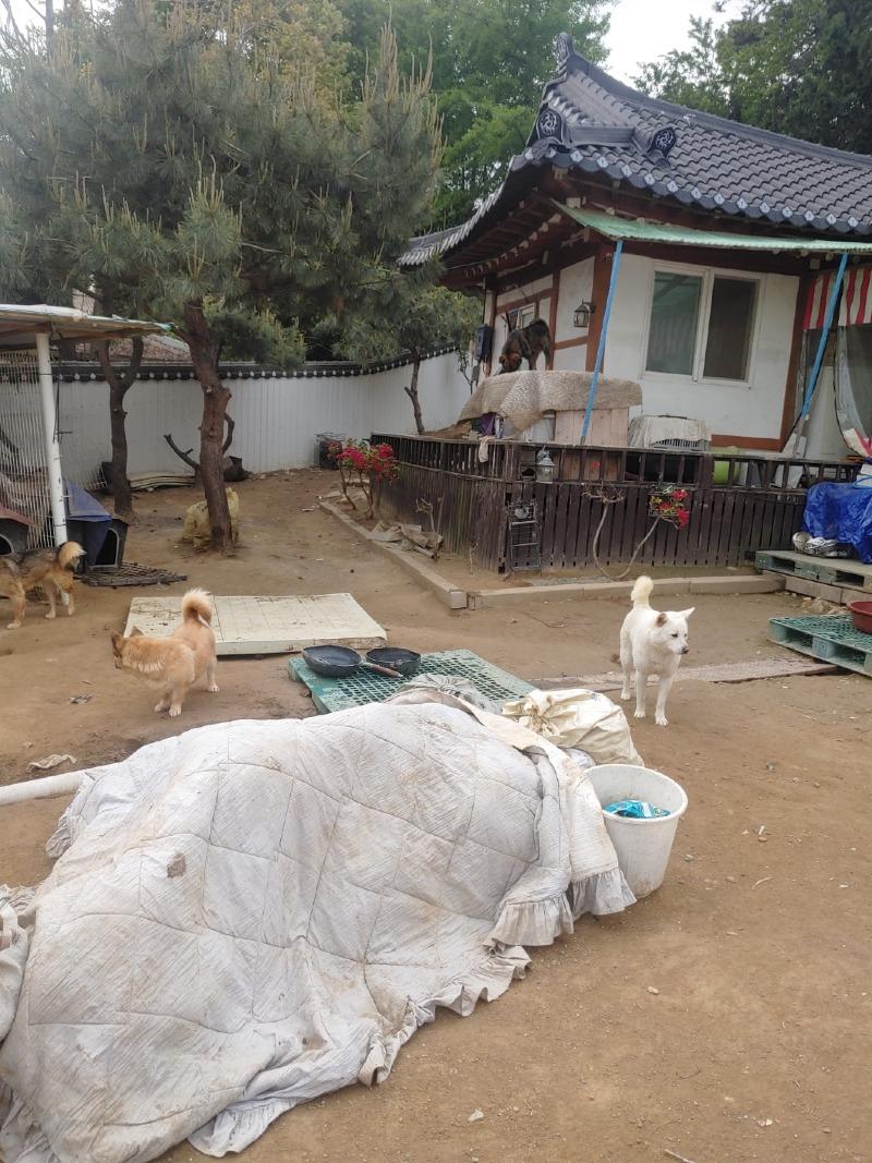 저 배곧신도시 주민분들 자랑해도 되나요 | 보배드림 자유게시판