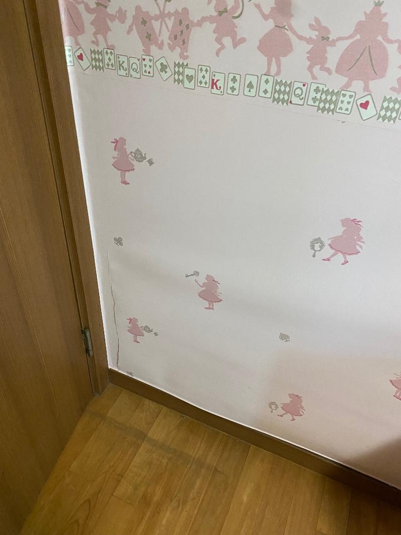 보배수선 이미지