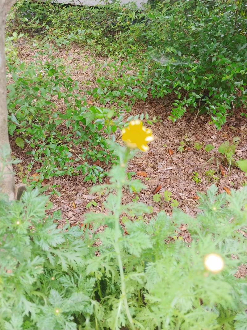 20230608_121903.jpg