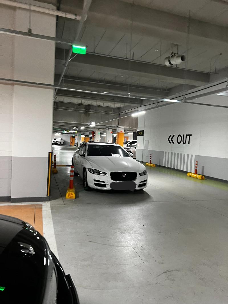 1688688886240.jpg