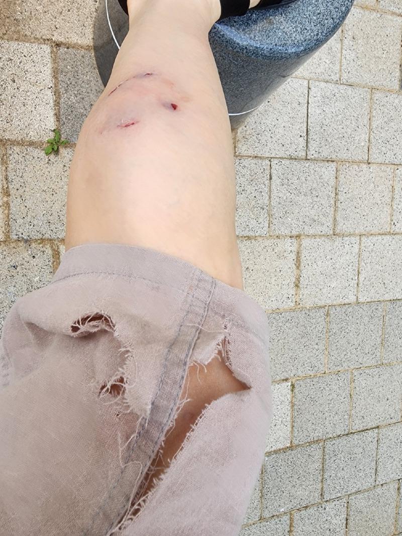 KakaoTalk_20230708_181627889.jpg