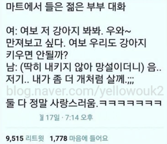 마트에서 젊은 부부의 대화 | 보배드림 자유게시판