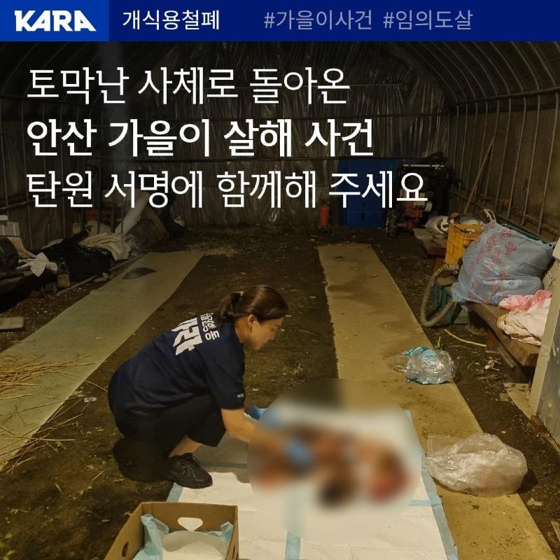 animal_kara_20230721_170051_0.jpg