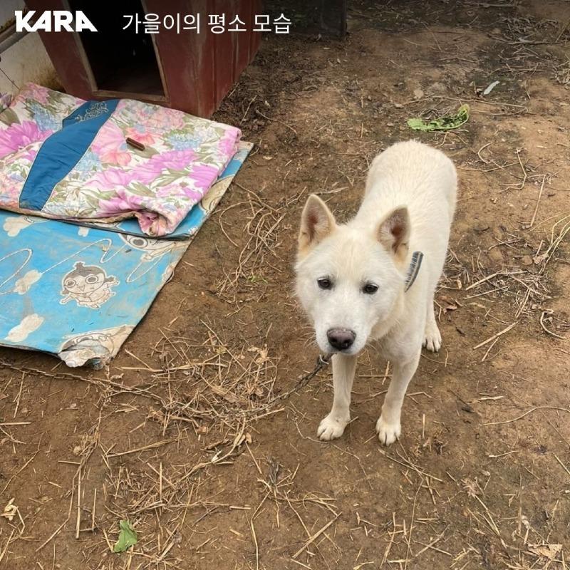 animal_kara_20230721_170051_1.jpg
