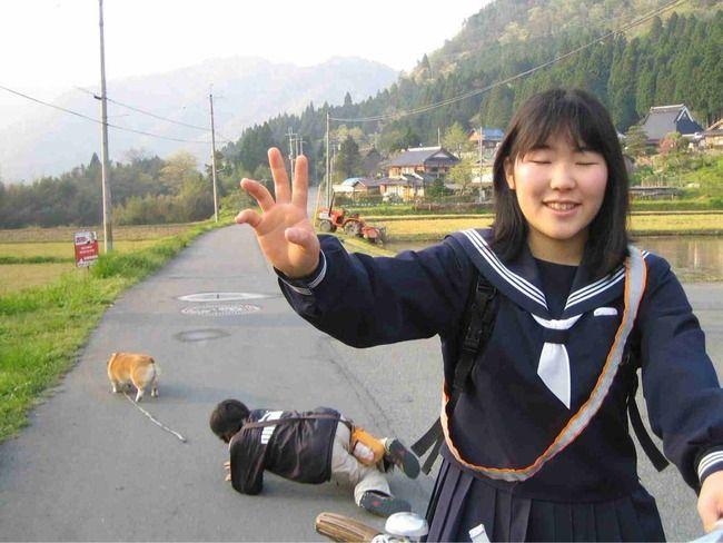 술시 이미지