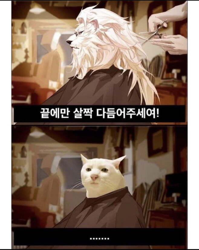 자유미용실 이미지