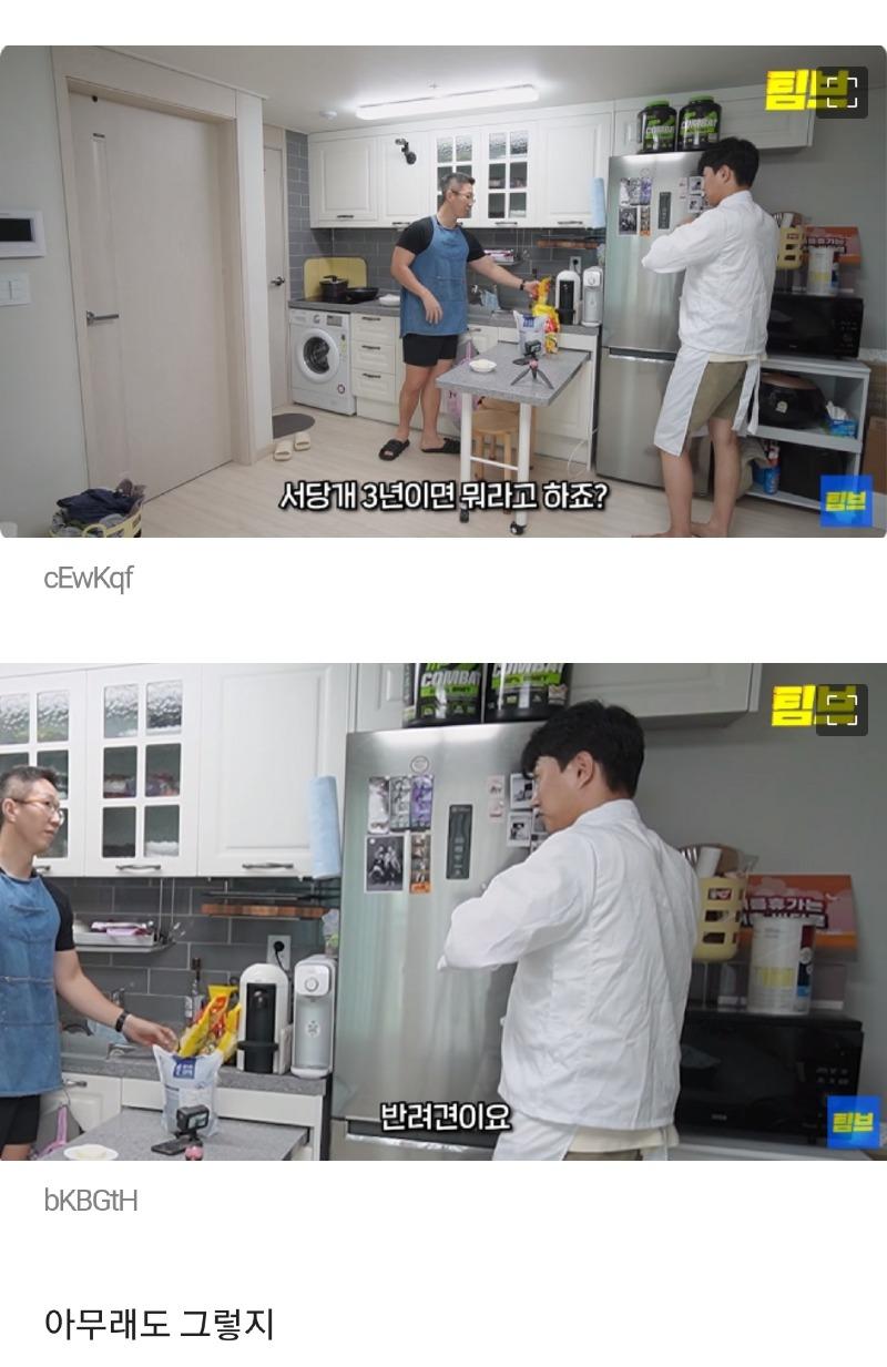 서당개 3년이면 뭐라고 하죠? | 보배드림 자유게시판