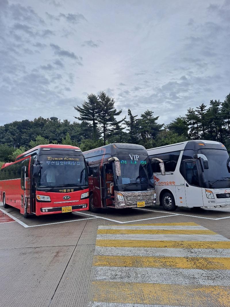 쿠데타 | 보배드림 자유게시판