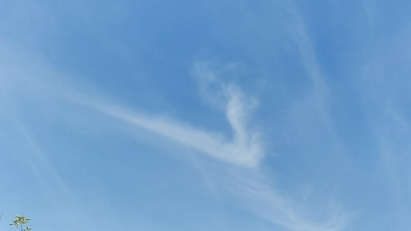 20230924_121313.jpg