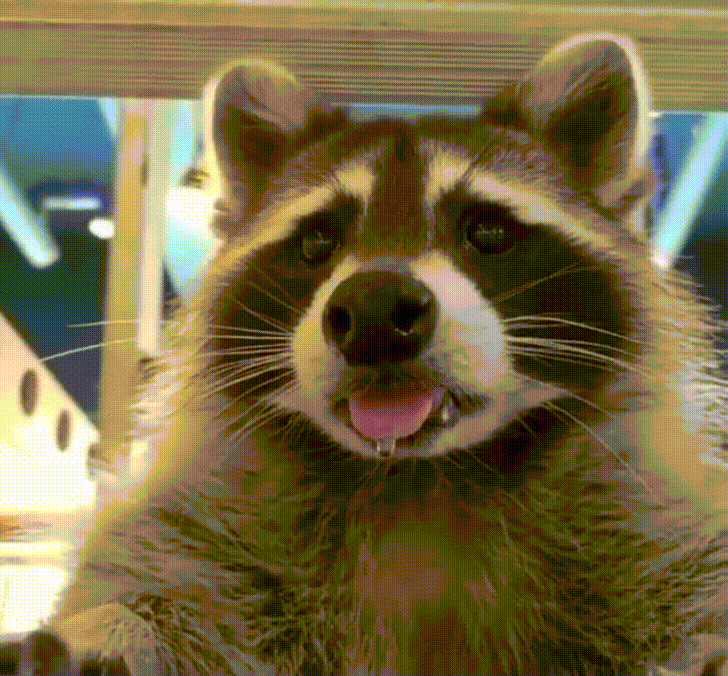 1000006255.gif