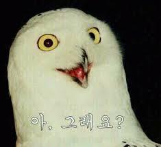 와성 이미지