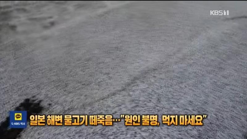 1702263312001.jpg