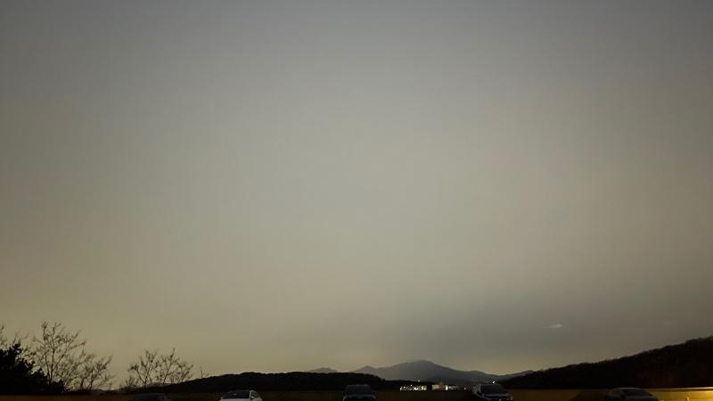 IMG_9331.jpeg