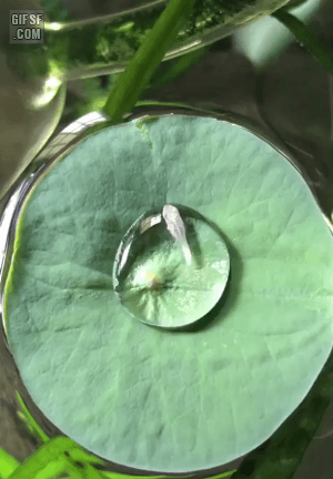 91b91674ab1258afd8f771965c3a6dd34dfaac52.gif