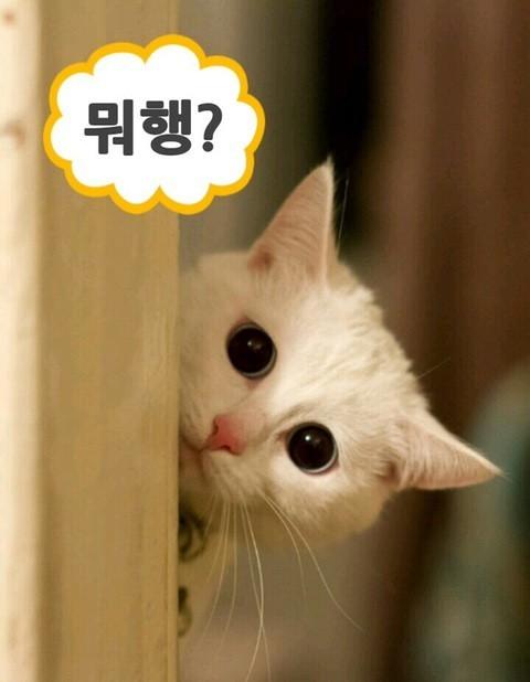 헐 이미지