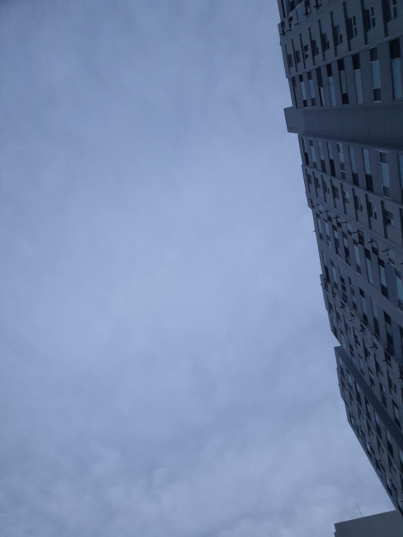 20240528_050741.jpg