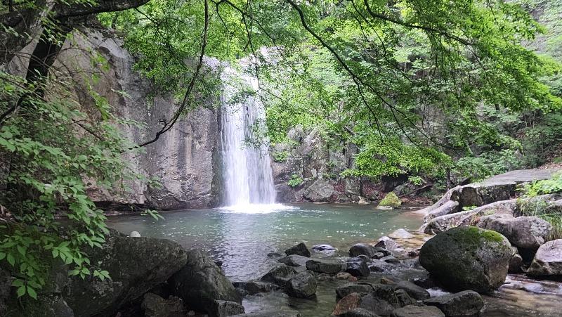 하산a | 보배드림 자유게시판
