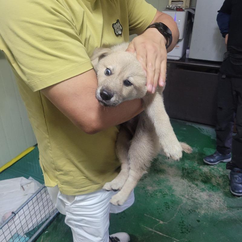 KakaoTalk_20240715_152234601.jpg