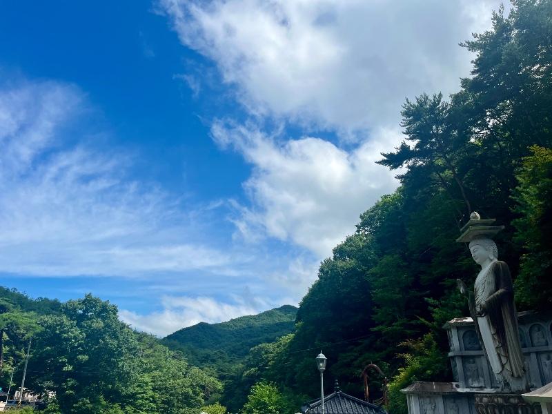 IMG_5384.jpeg