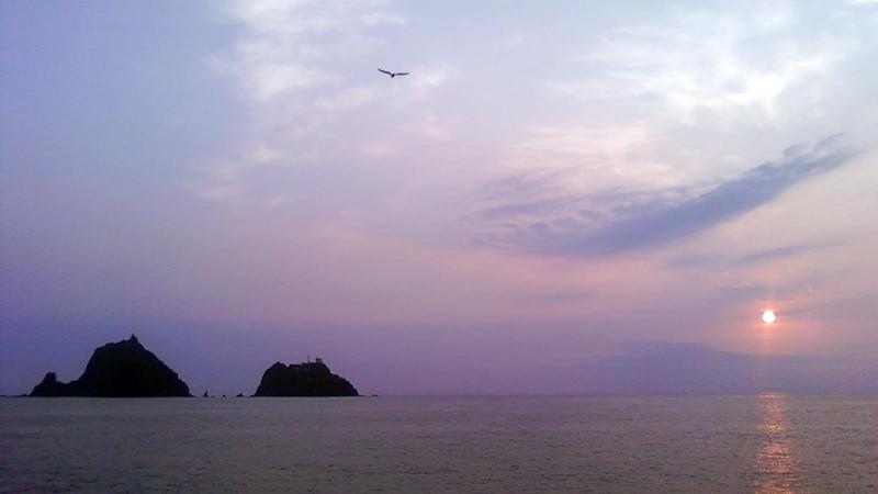 IMG_3150.jpeg