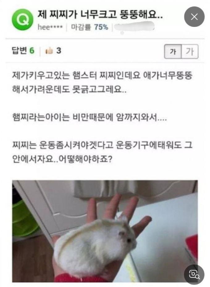 캡처.JPG