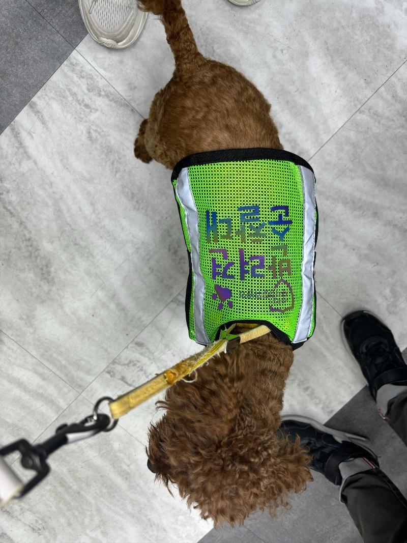 KakaoTalk_20241010_145917085.jpg