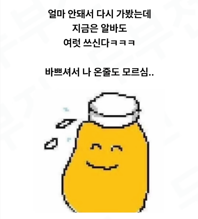 화면 캡처 2024-10-22 154524.png