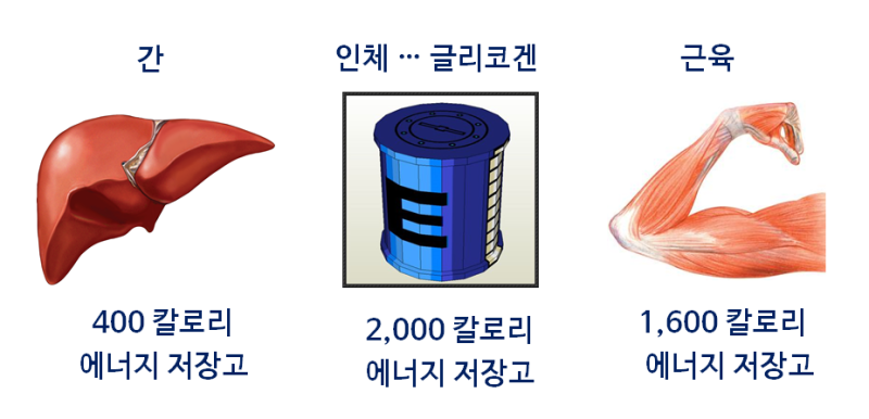 이미지_14.png